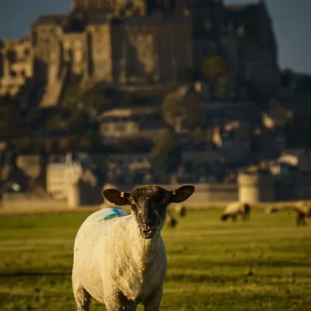 Nyaraló Petite Maison Dans La Baie Mont Saint Michel Marcey-les-Grèves